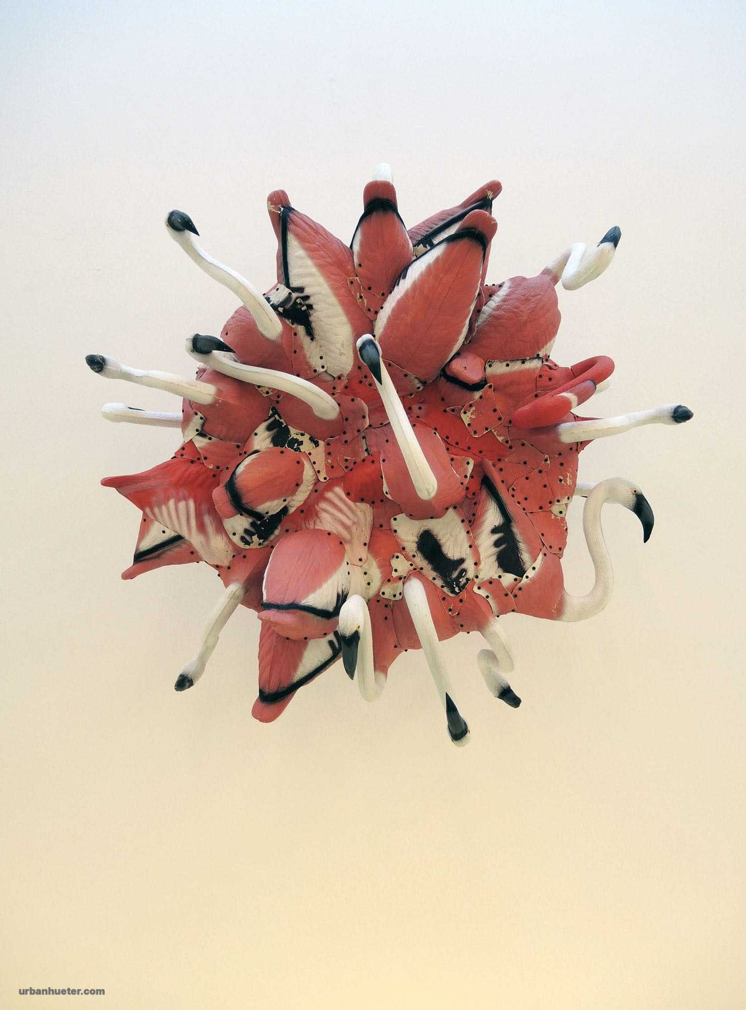 Urban-Hueter-flamingos_R0349