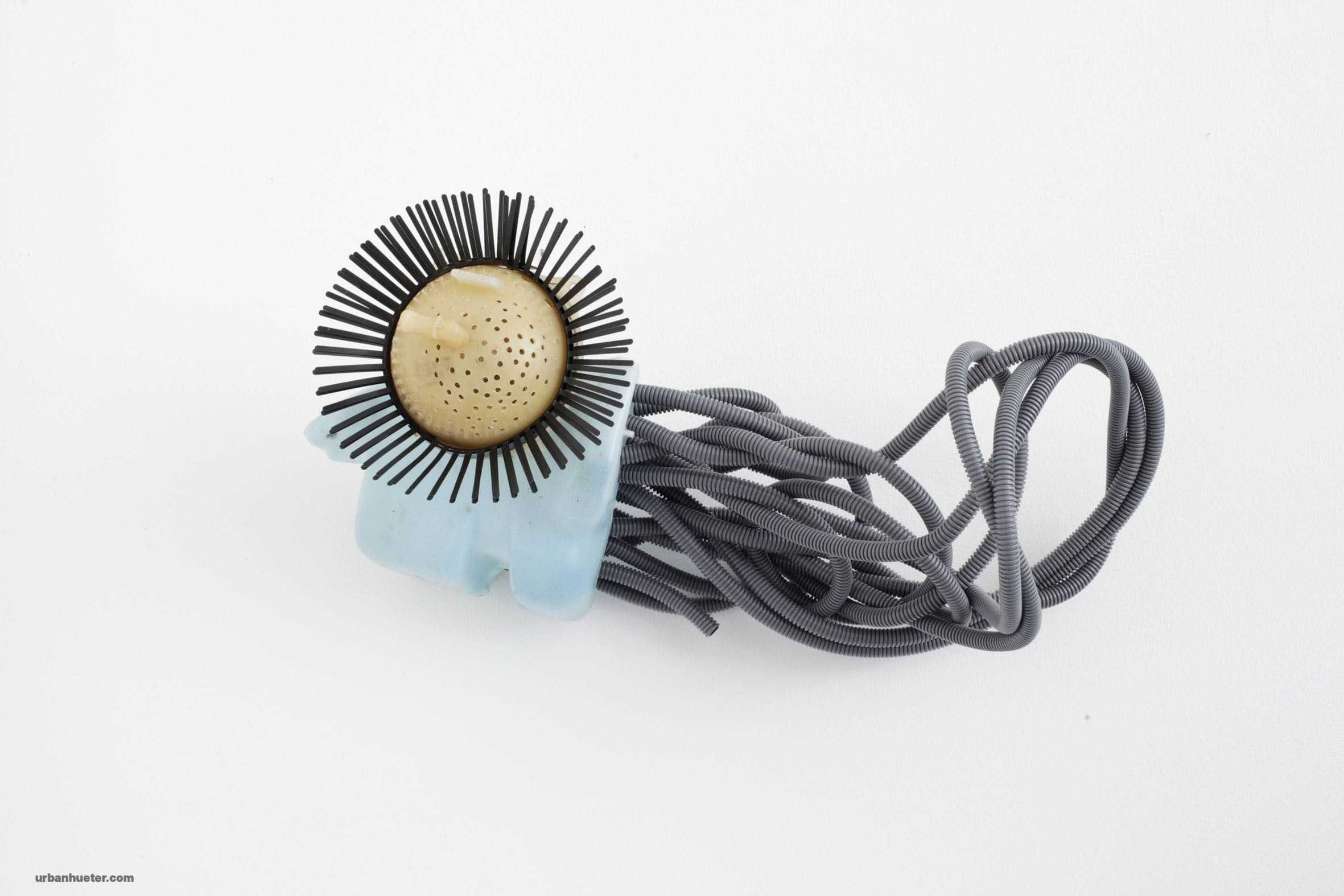 Urban-Hueter-microbe